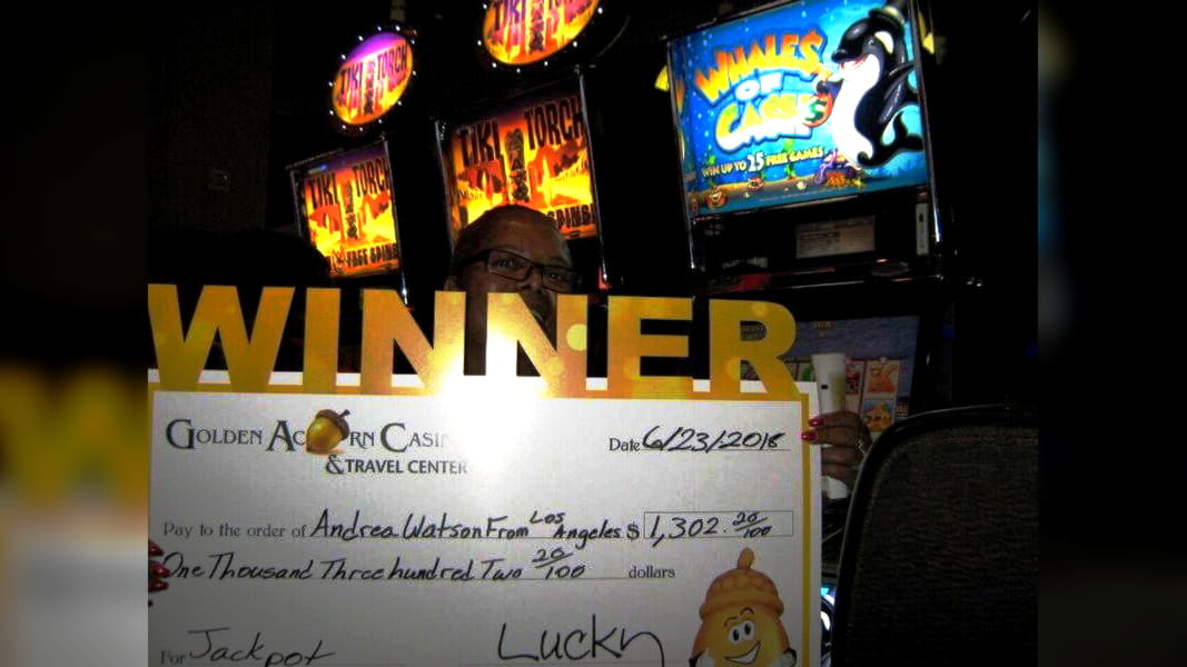 bestvideoslotsplay free spins