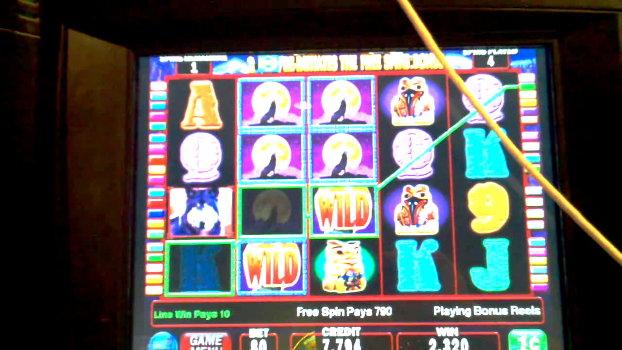 betbellavegasbonuscode100 no deposit