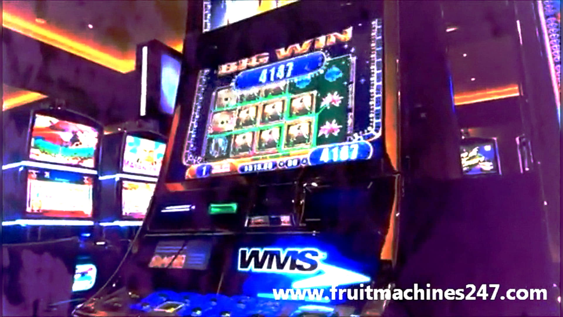 betbellavegasbonuscode100 high roller