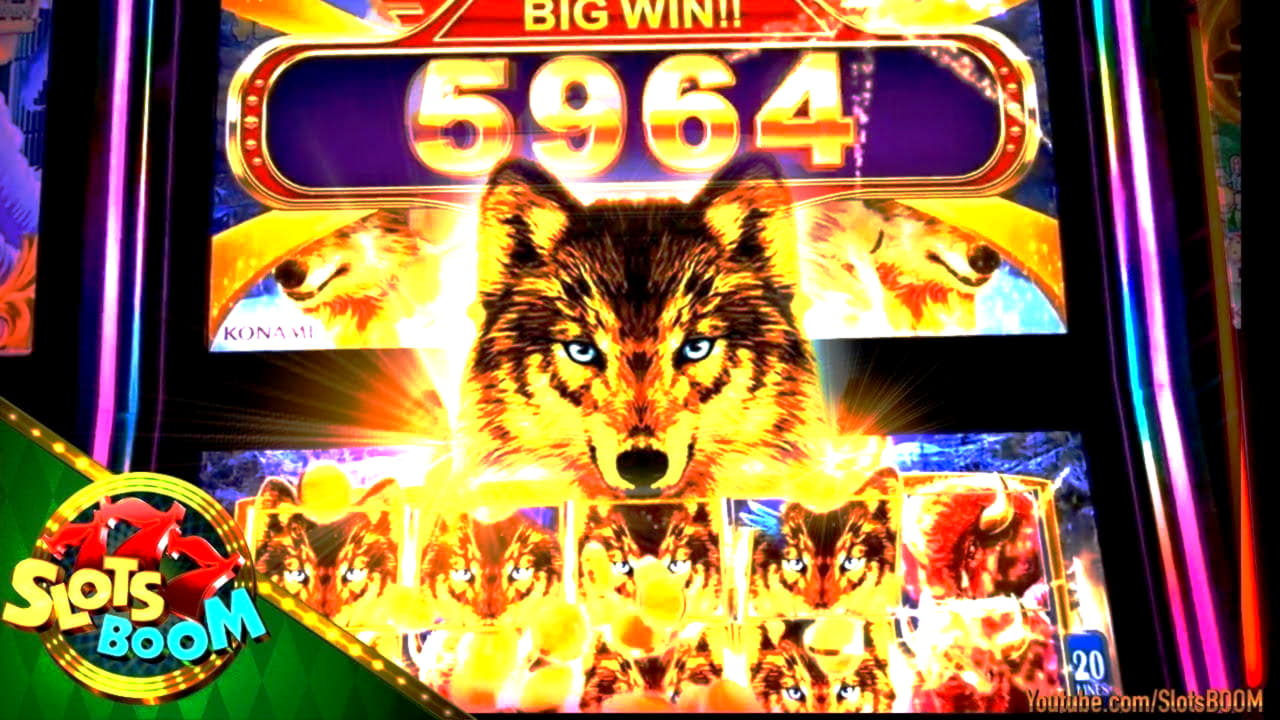 bigdollarcasinobonuscode no deposit