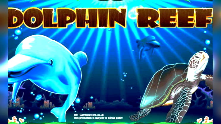 bigdollarcasinonodepositbonus2020 free match