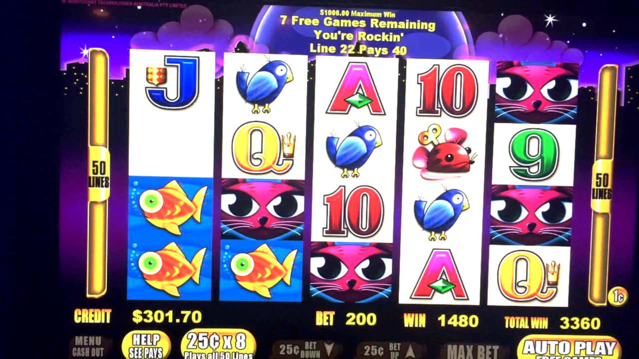 bigwinincasino deposit bonus