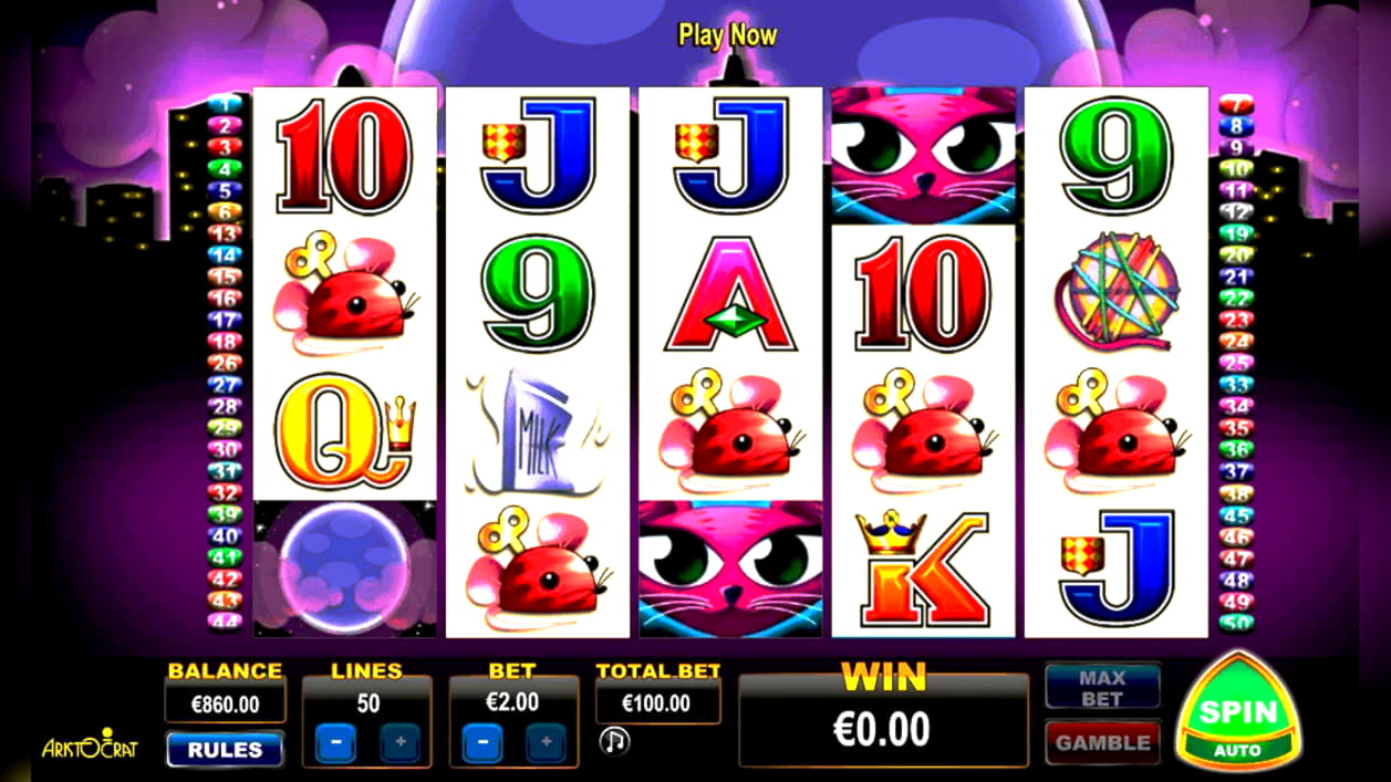 bovegascasino free spins