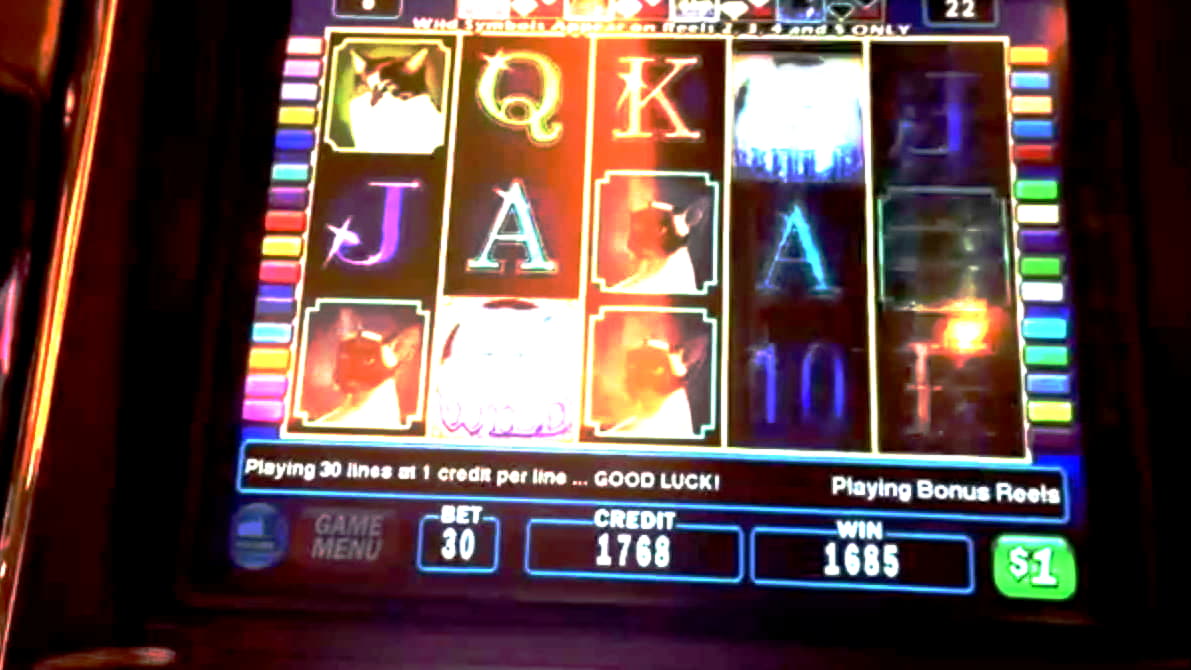bonuscasino cashback