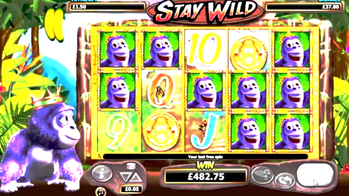 cashbandits2bonuscodes free spins