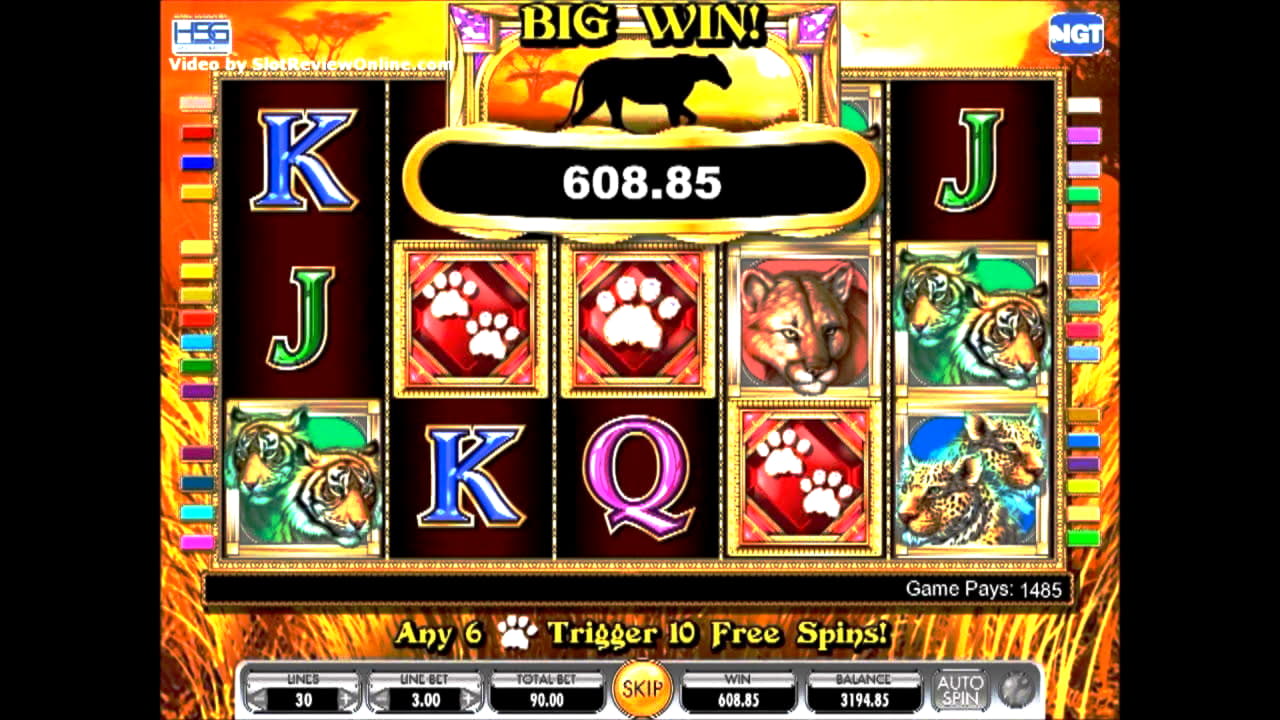 casholotcasino high roller