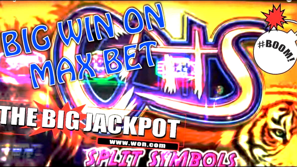 casinobrangonodepositbonus new bonus
