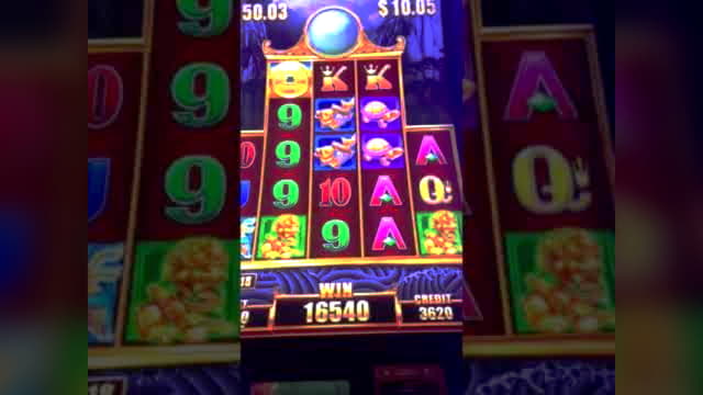 casinosgamesfreeonline free play