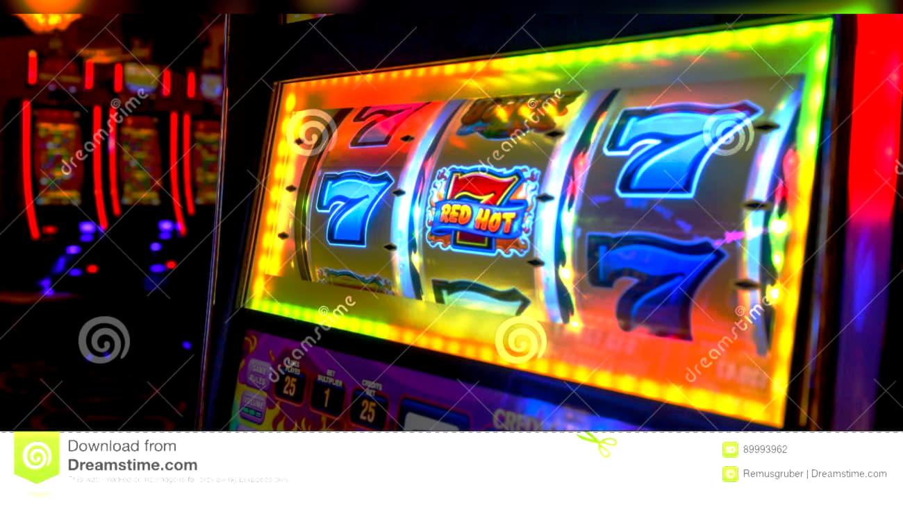 coolcatcasinobonuscodes2020 new bonus