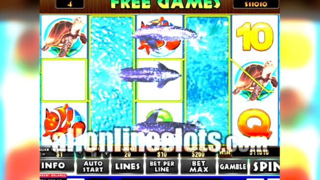 coolcatcasinofreebonuscodes2020 no deposit