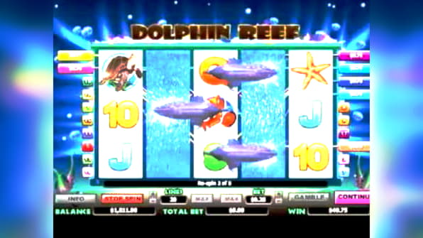 coolcatcasinofreebonuscodes2020 high roller