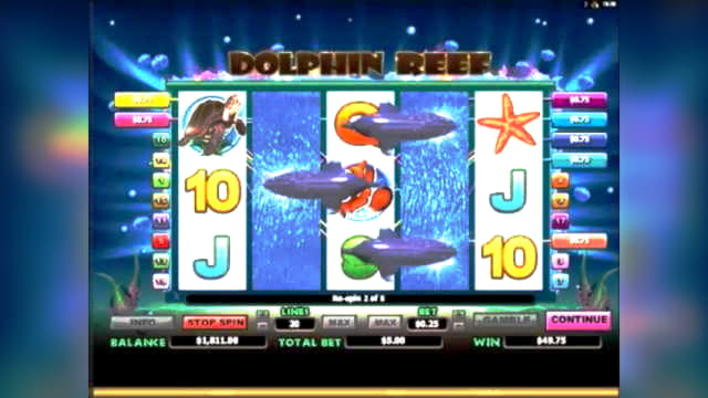 coolcatcasinofreebonuscodes2020 cashback