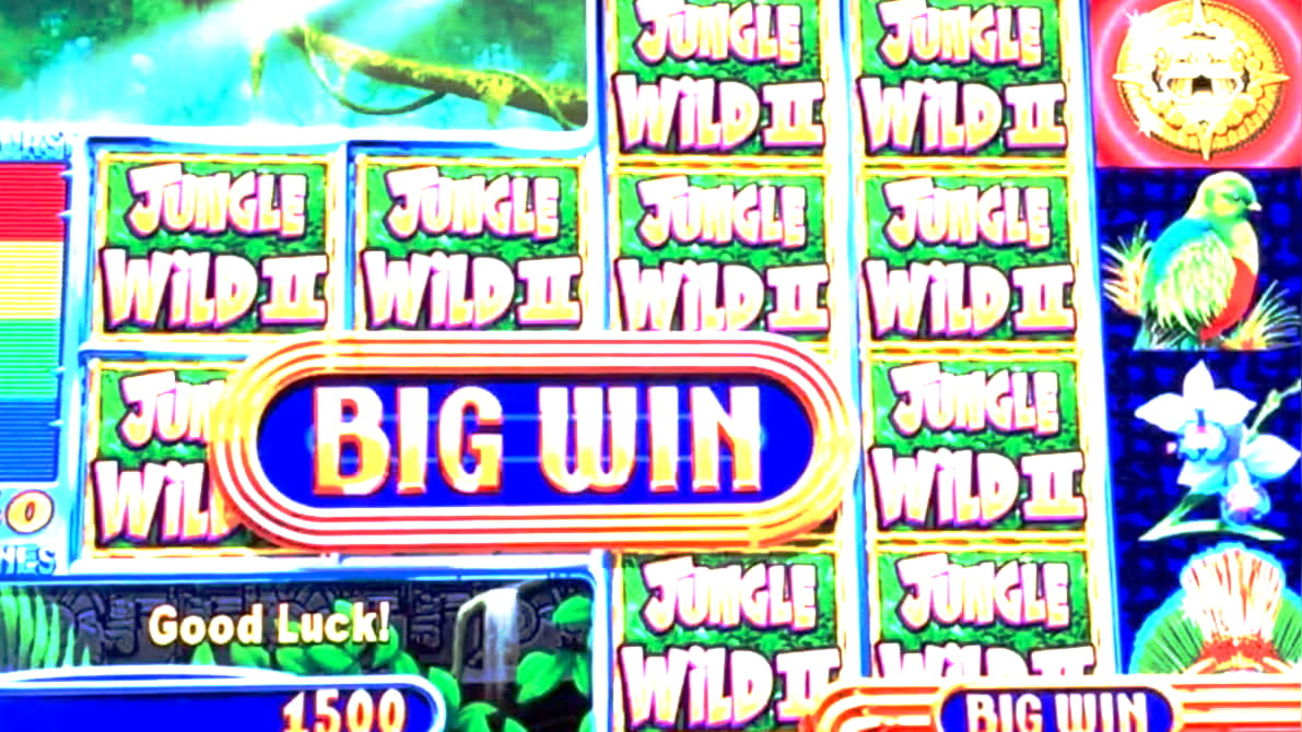coolcatcasinonodepositbonuscodes2020 free spins