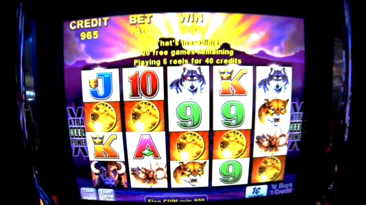 coolcatcasinonorulesbonus new bonus