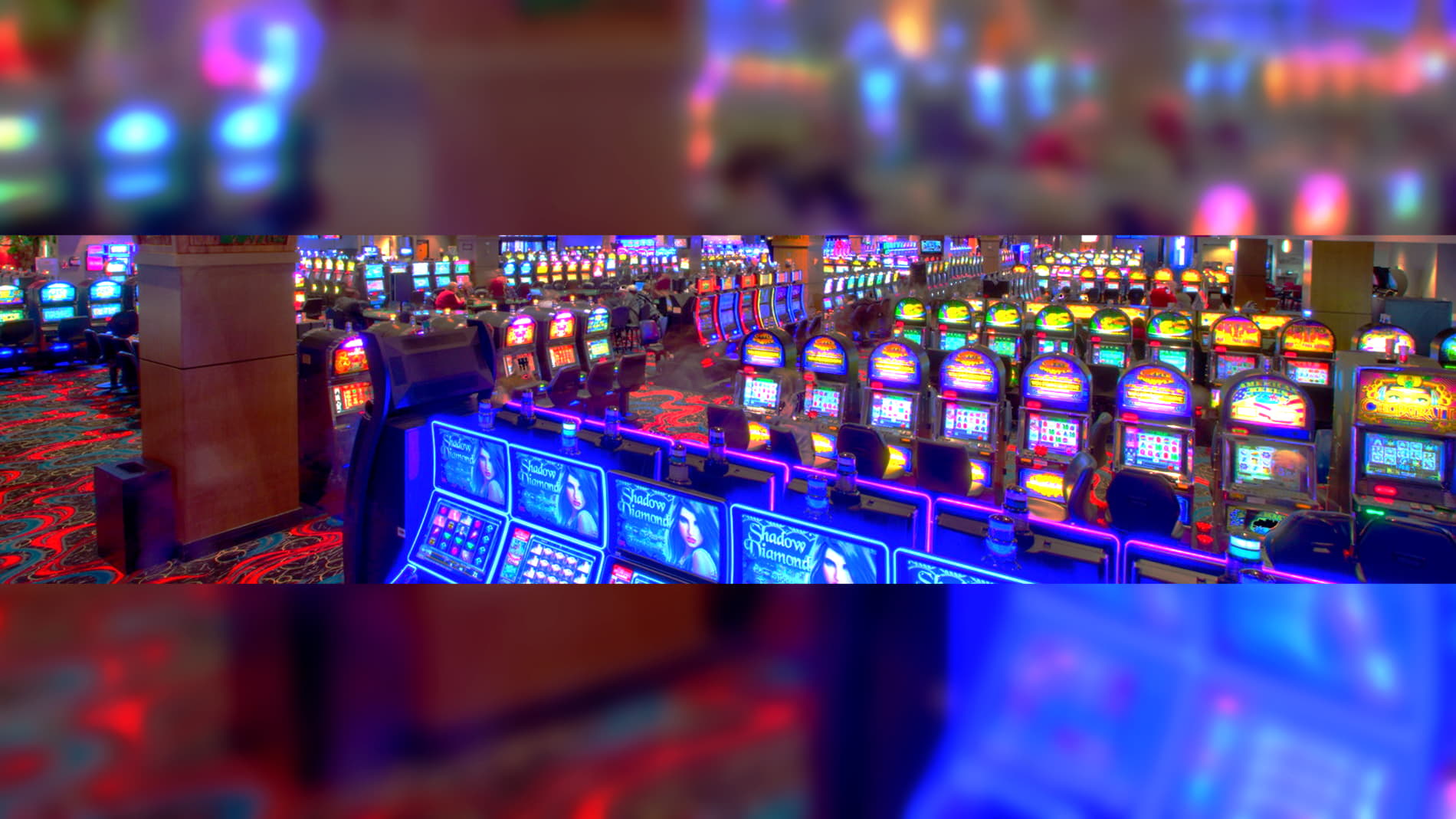 coolcatcasinonorulesbonus high roller