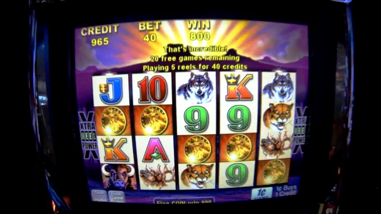 coolcatcasinonorulesbonus cashback