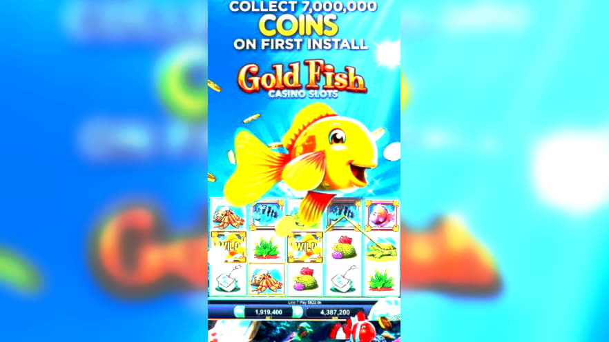 coolcatcasino free match