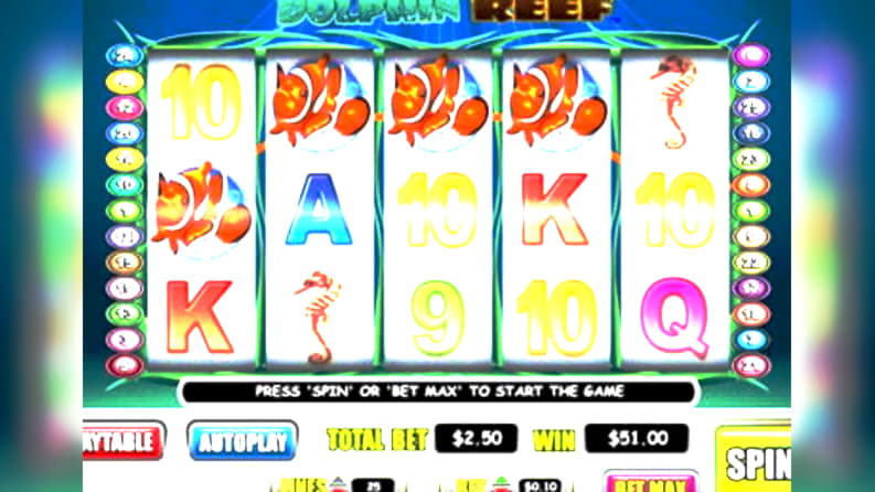 coolcatsnodepositbonus cashback