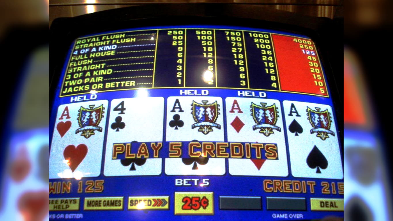 dragontiger slots