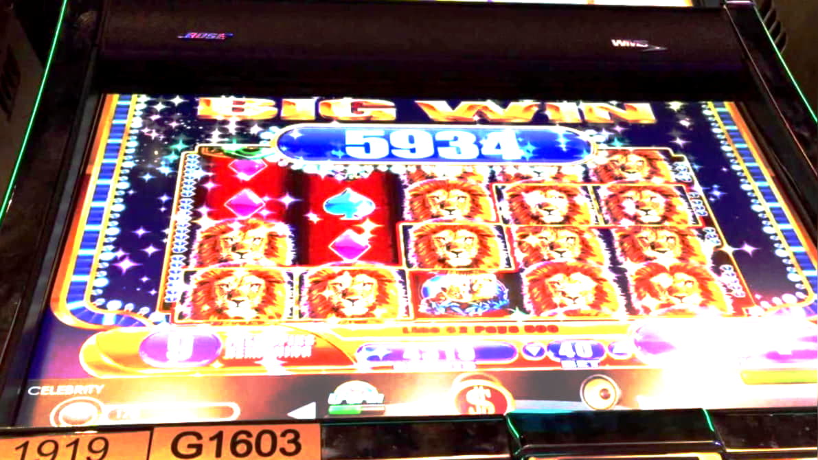 dreamcasinofreespins no deposit