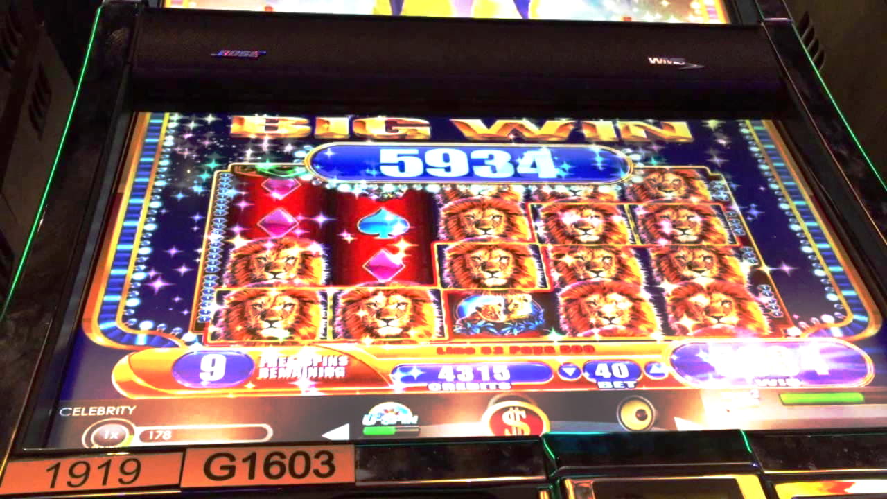 dreamcasinofreespins high roller