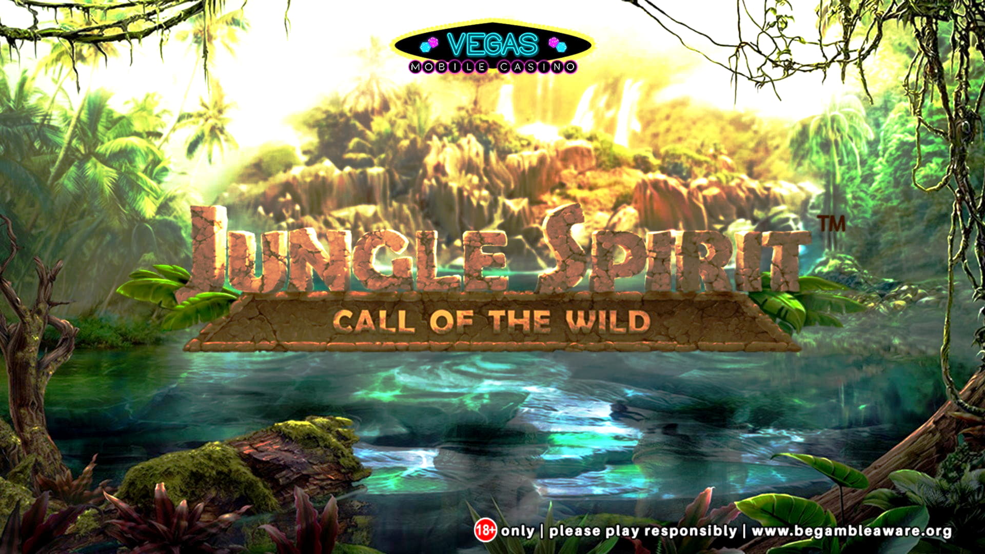 dreamcasinonodepositbonuscodes free play