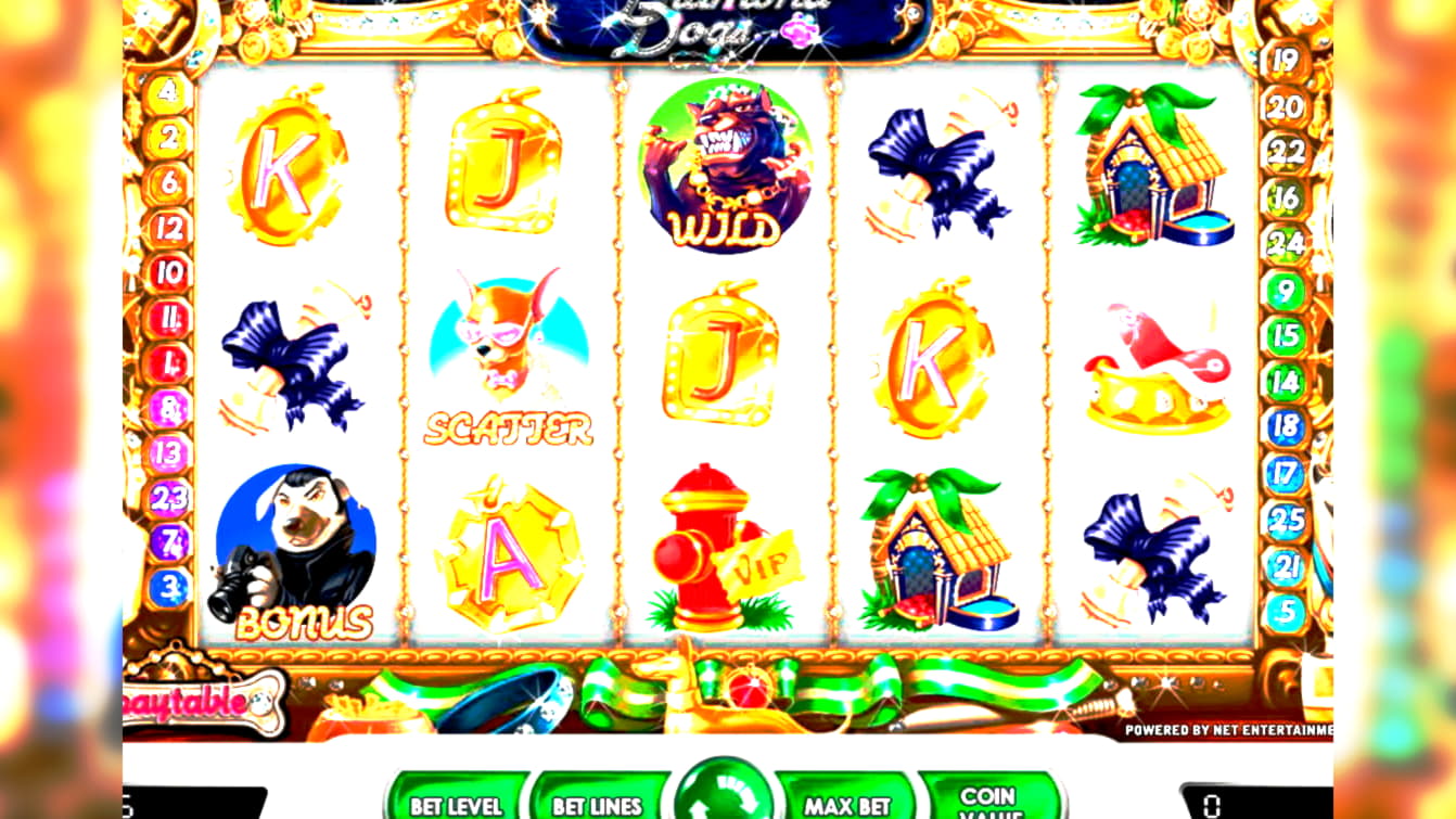 dreamcasinonodepositbonus шинэ урамшуулал