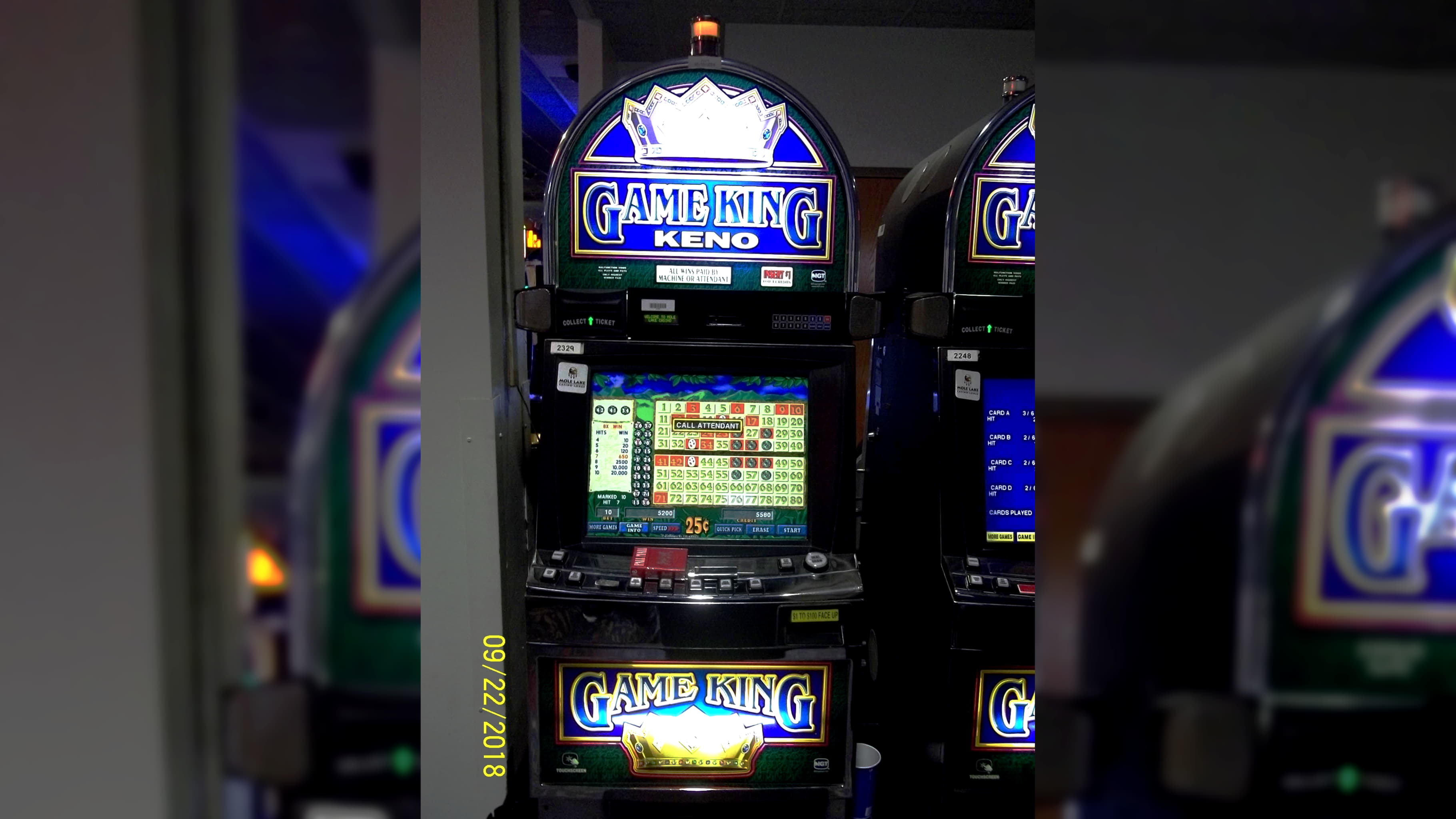 freespinscodenodeposit cashback