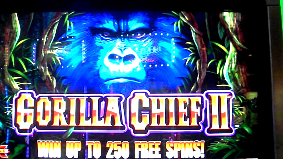 grandfortunecasinonodepositbonus2020 new bonus