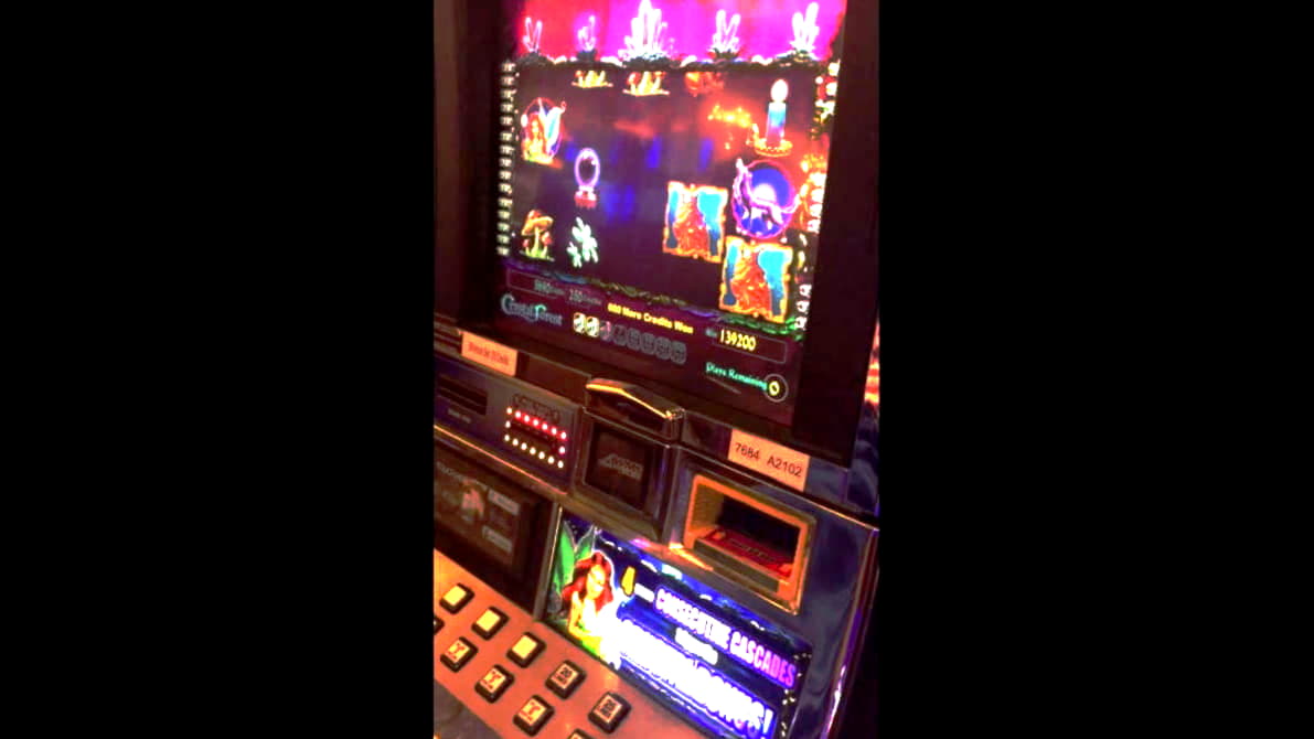 mega7scasinobonuscodes2020 free play