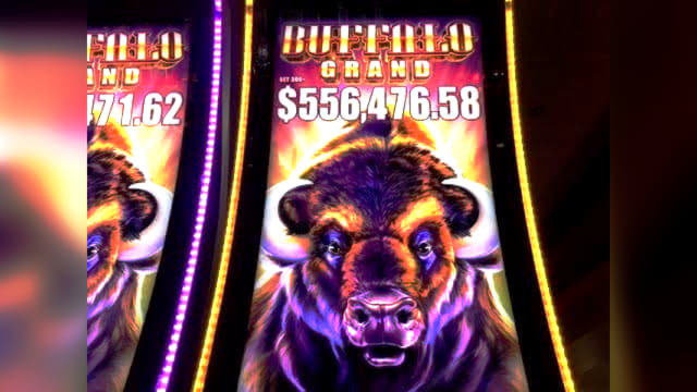 netentusacasino no deposit