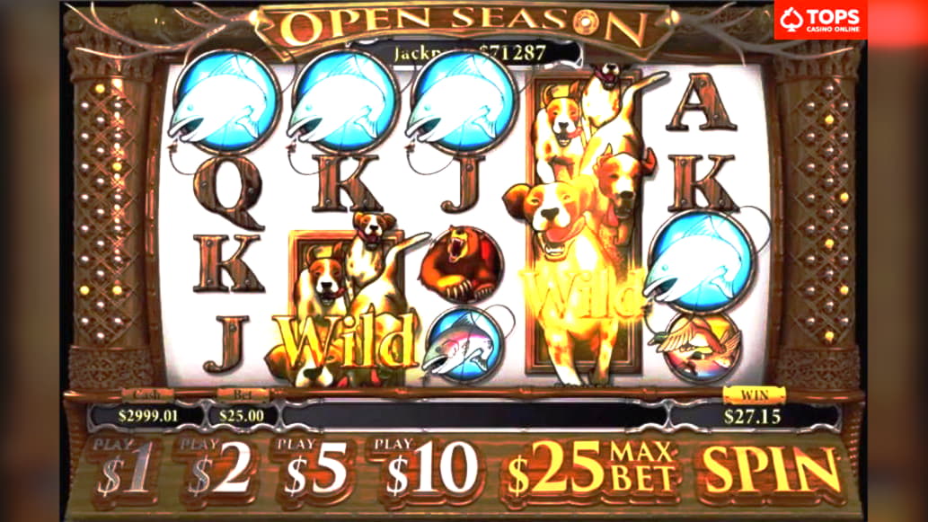 newcasinosonlineusa high roller