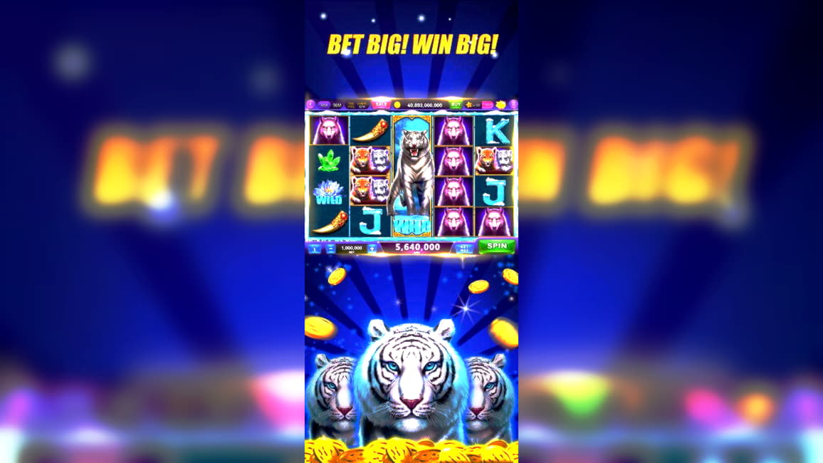 nordvpnpanama new bonus