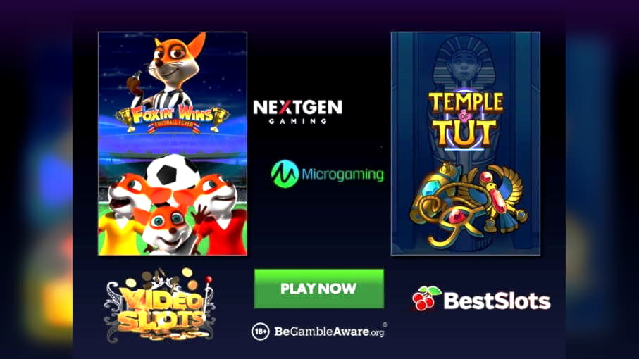 playhippocasino free spins