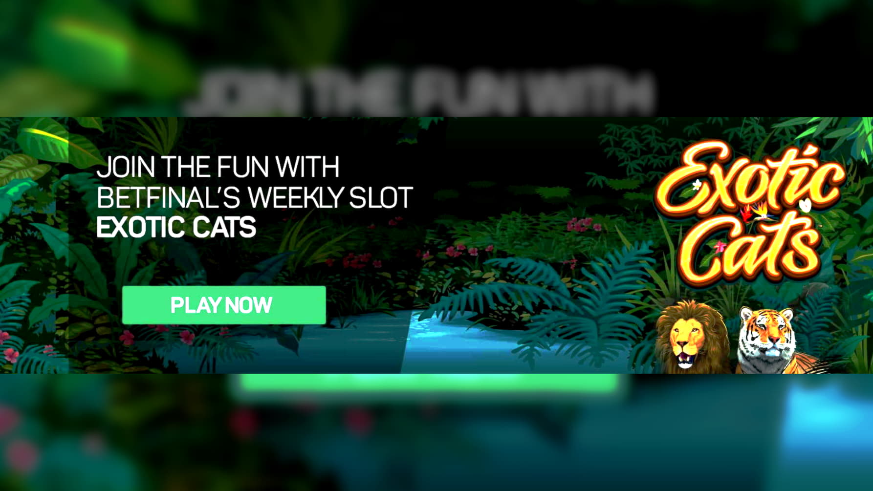 roulettestrategies free match