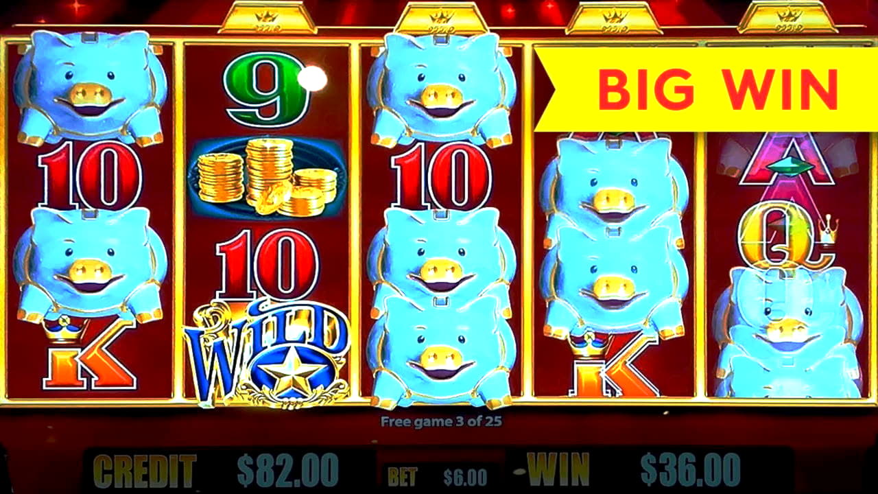slotnuts slots