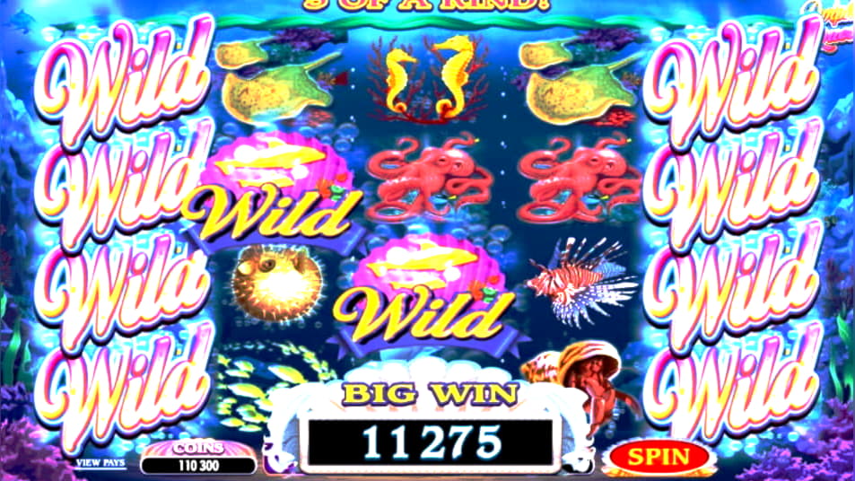 slotslvnodepositcode free spins