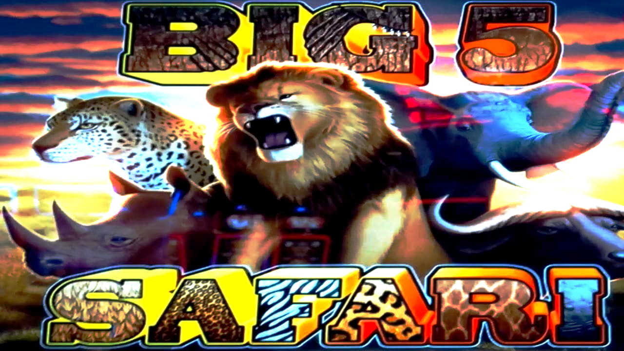 springbokcasinonodepositusa high roller