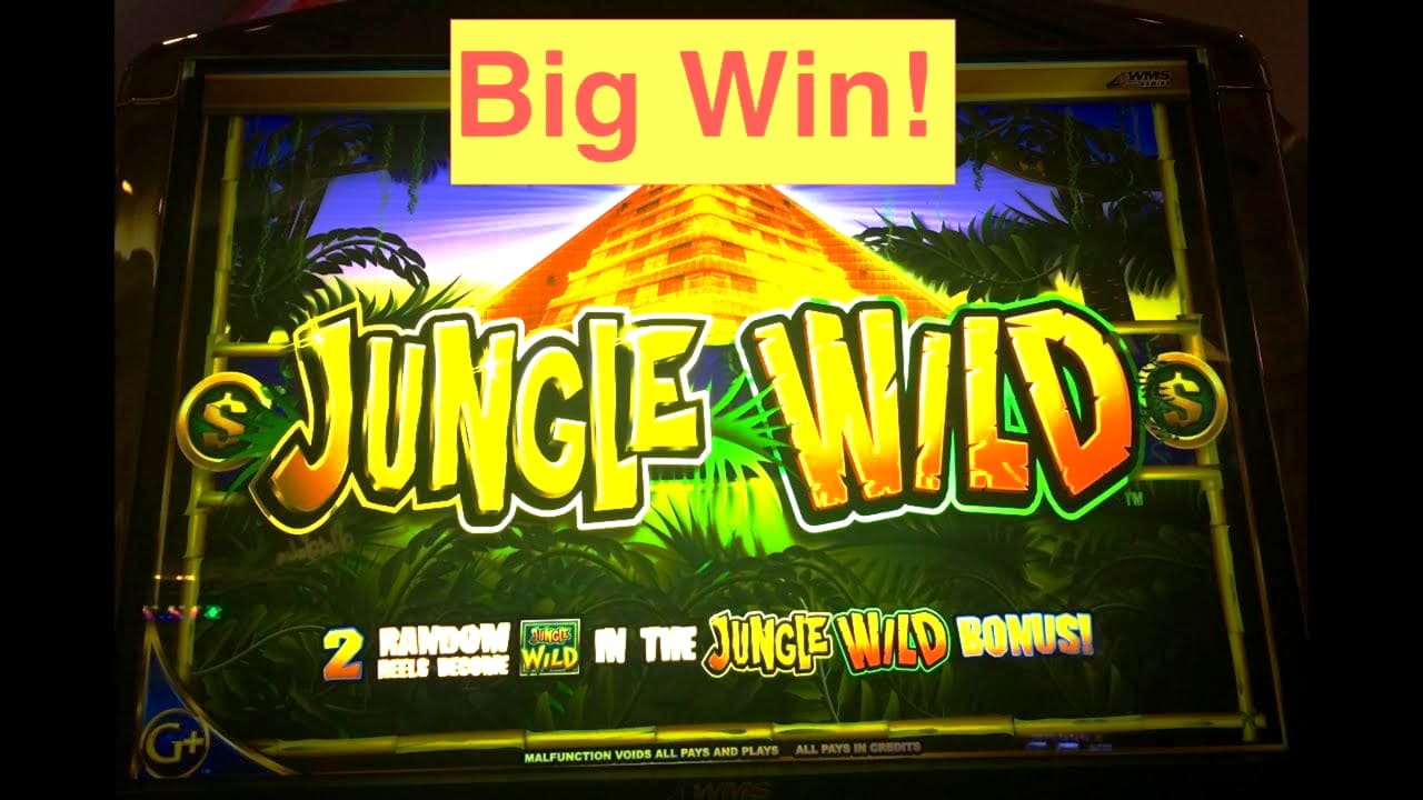 winadaycasinonodepositbonuscodes2020 free spins