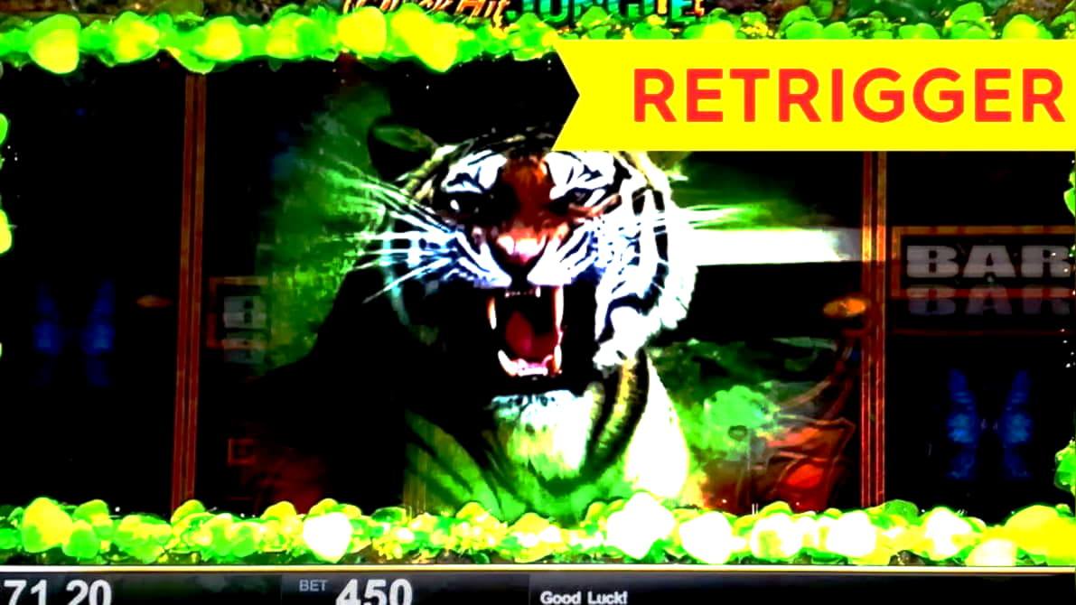 winadaycasinonodepositbonuscodes2020 free match