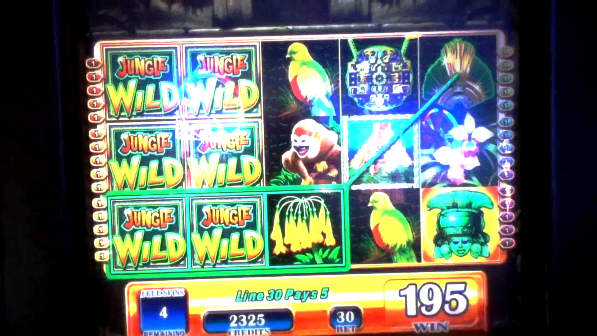 winadaynodepositbonus2020 free spins