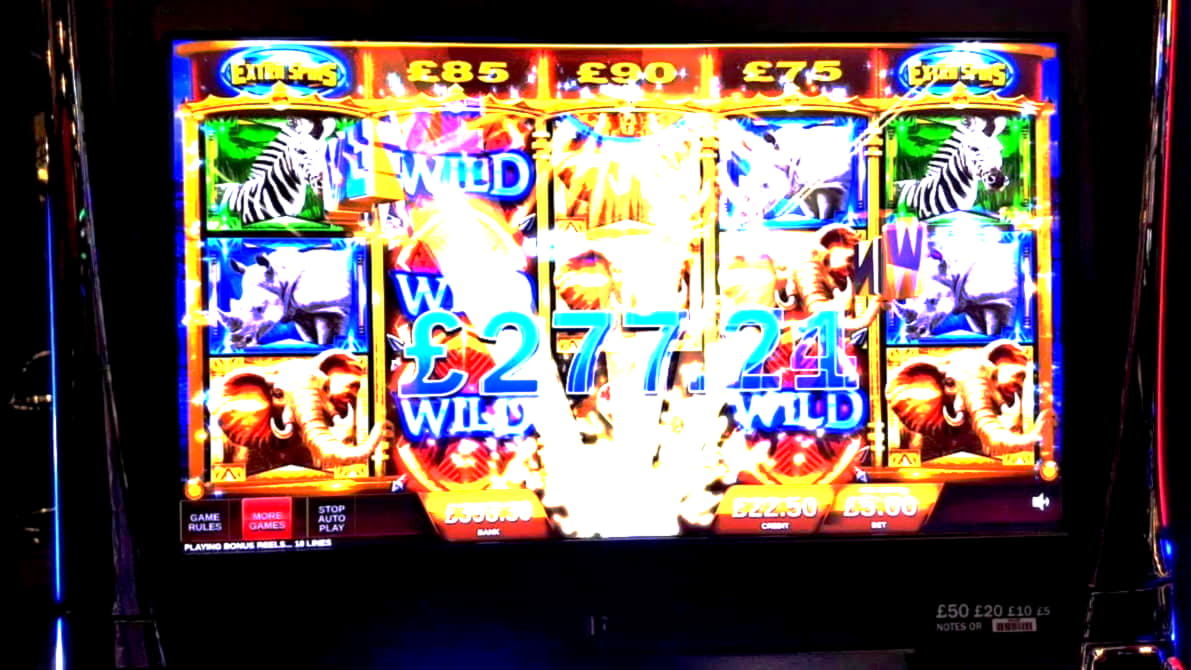 winspins new bonus