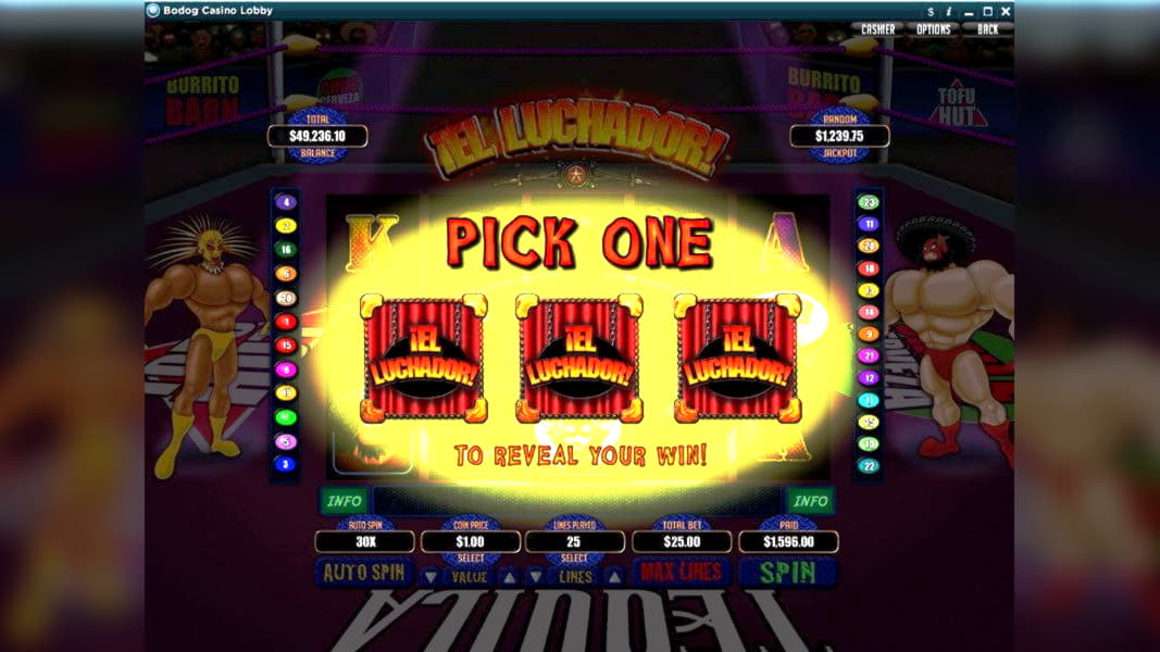wizbetcasino no deposit