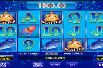 Wynik obrazu dla gniazda Blue Dolphin