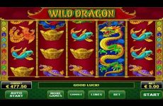 Bildresultat för Wild Dragon-kortplats