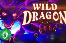 Bildresultat för Wild Dragon-kortplats