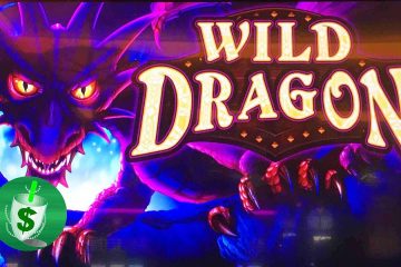 Wynik obrazu w slocie Wild Dragon