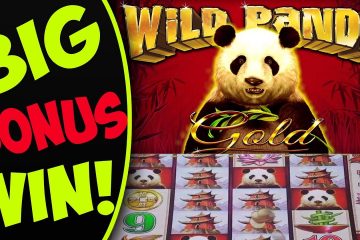 Wynik zdjęcia dla wygranej w Big Panda