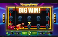 Bildresultat för Twin Spin-slotsvinster