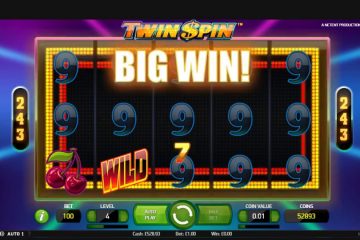 Bildresultat för Twin Spin-slotsvinster